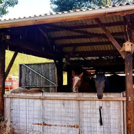 Hébergement de vacances Planty - With Bath Tub Halle
