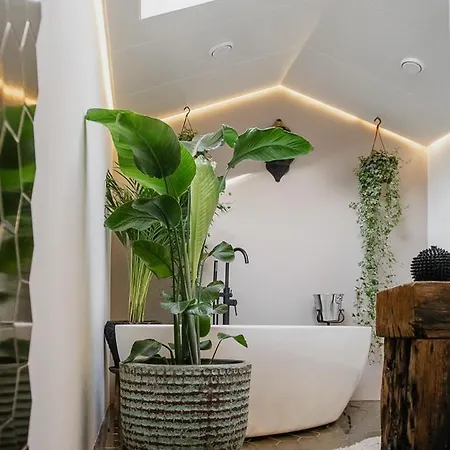 Planty - With Bath Tub * Halle