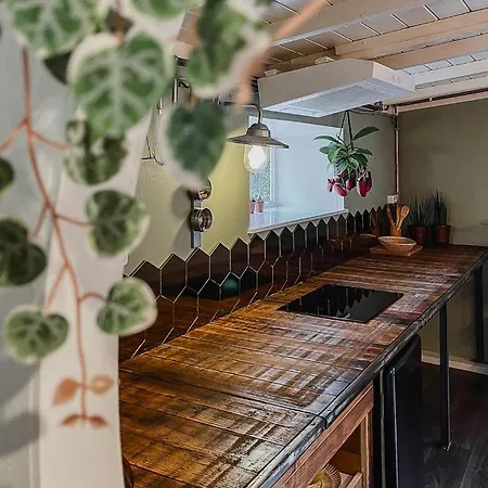 Planty - With Bath Tub *