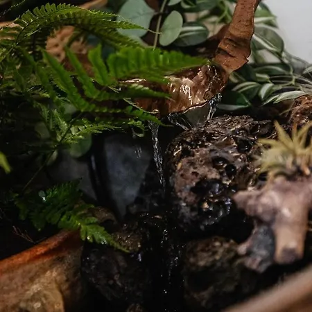 Planty - With Bath Tub Halle