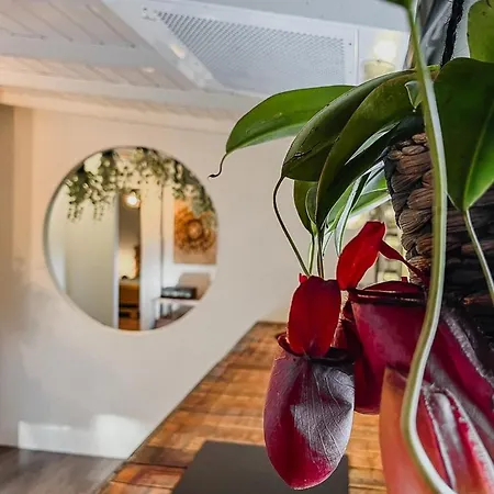 Planty - With Bath Tub *