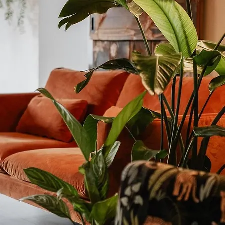 Planty - With Bath Tub * Halle