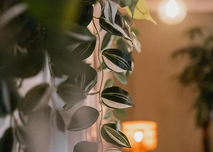 Planty - With Bath Tub Dom wakacyjny *