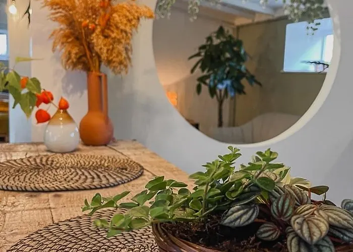 Planty - With Bath Tub