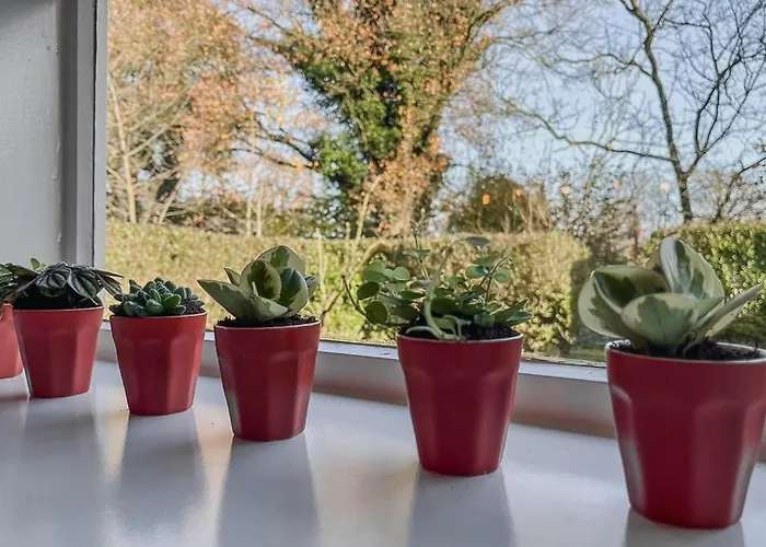 Dom wakacyjny Planty - With Bath Tub