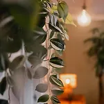 Planty - With Bath Tub Vakantiehuis *