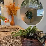 Planty - With Bath Tub