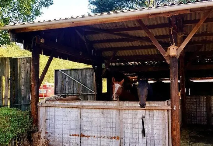 Дом отдыха Planty - With Bath Tub Галле