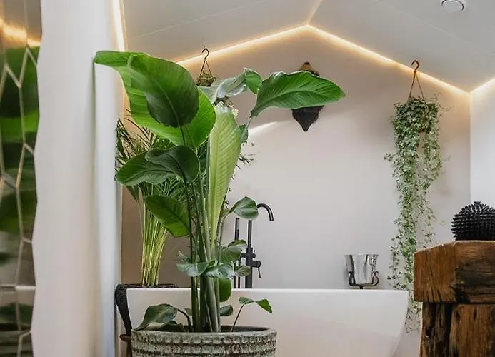 Planty - With Bath Tub * Галле