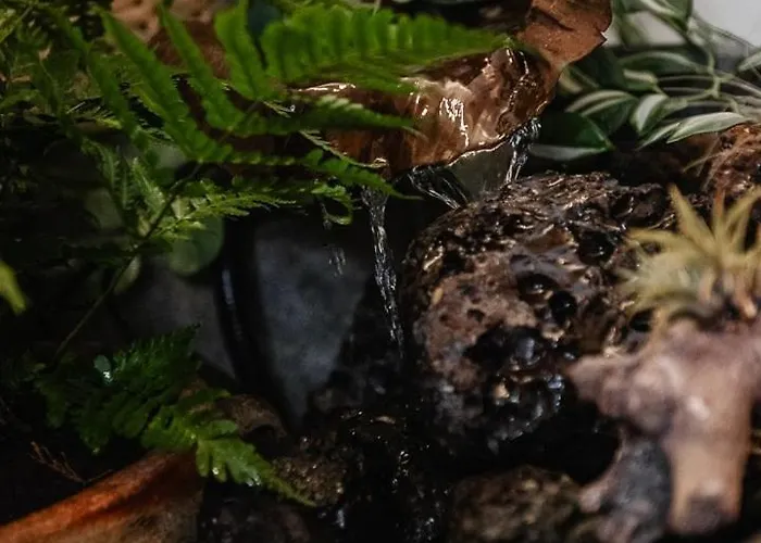 Planty - With Bath Tub Галле