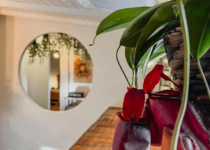 Planty - With Bath Tub *