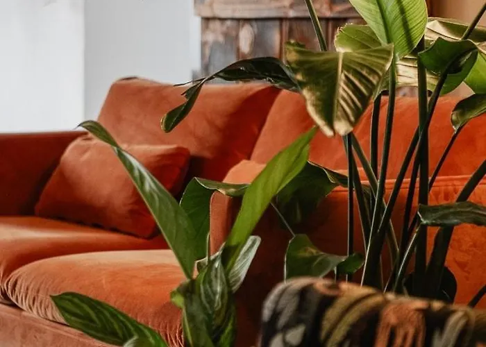 Planty - With Bath Tub * Галле